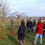 Schnittkurs Obstwelt Kiefer 2025 (1)