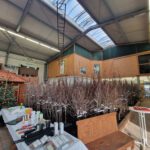 Schnittkurs Obstwelt Kiefer 2025 (2)