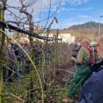 Schnittkurs Obstwelt Kiefer 2025 (4)